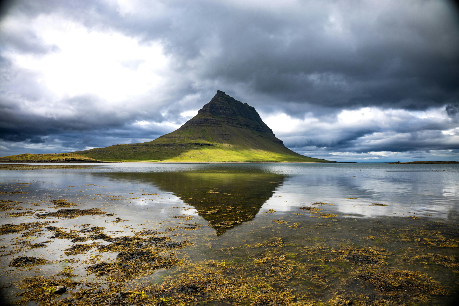 Eco-Friendly Nature Walk